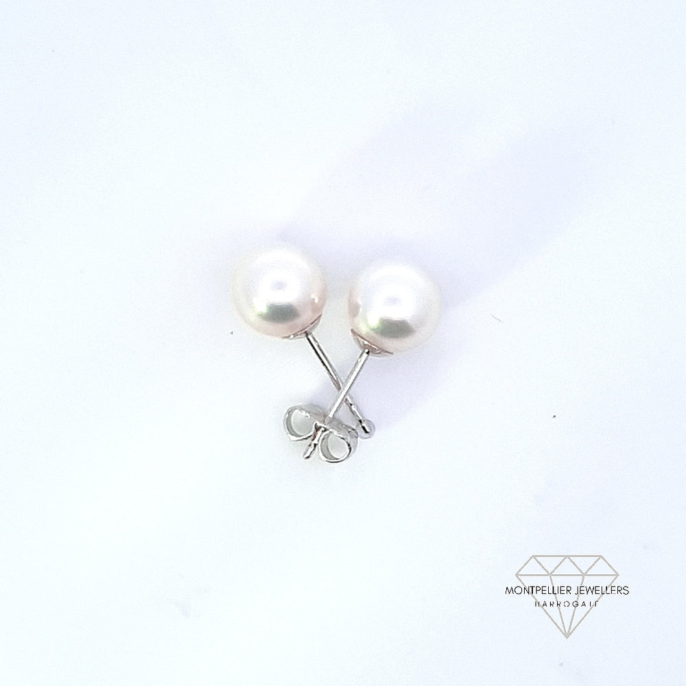 Classic Pearl Stud Earrings AAA Quality Akoya Pearls 7.5mm - 8.0mm