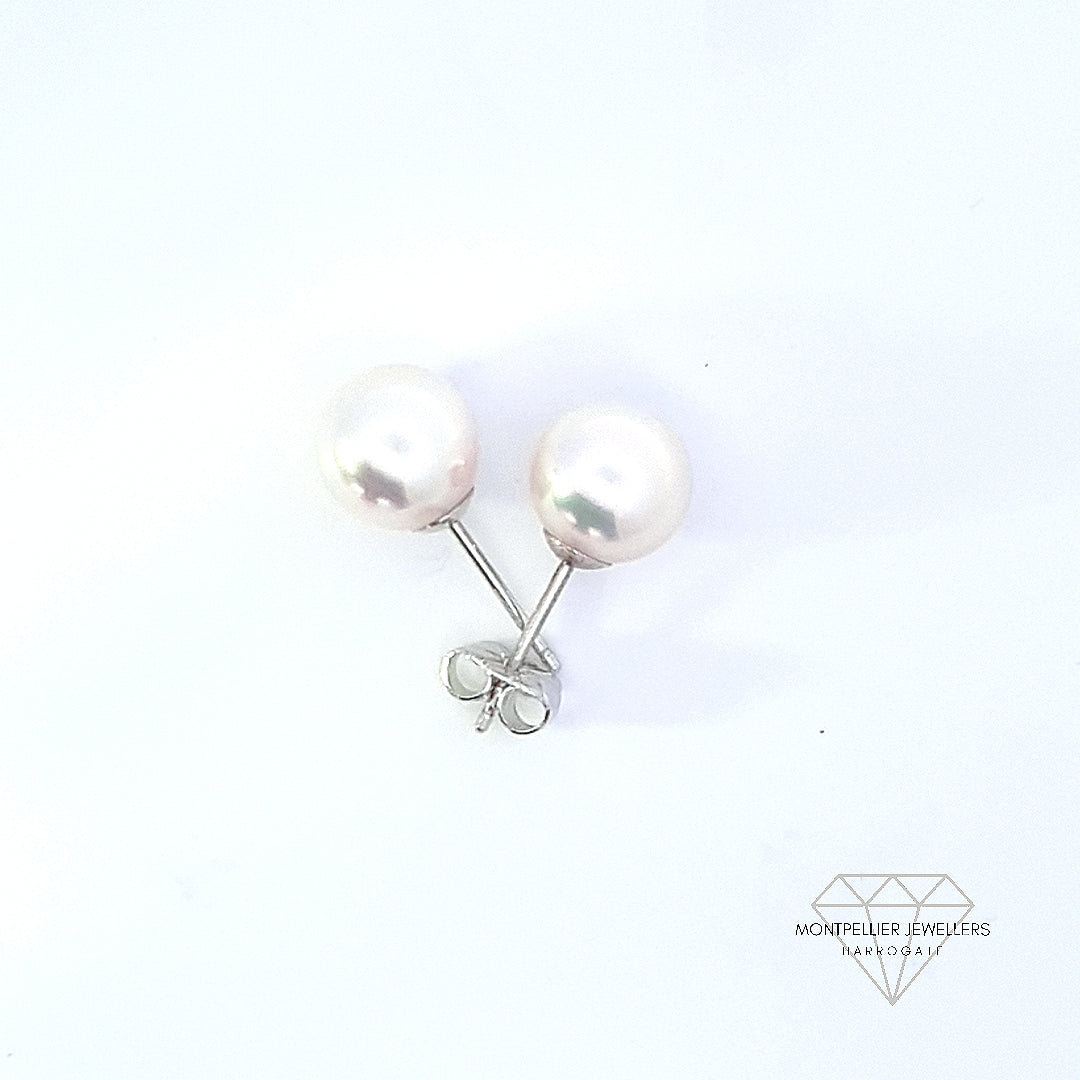 Classic Pearl Stud Earrings AAA Quality Akoya Pearls 8.0mm - 8.5mm