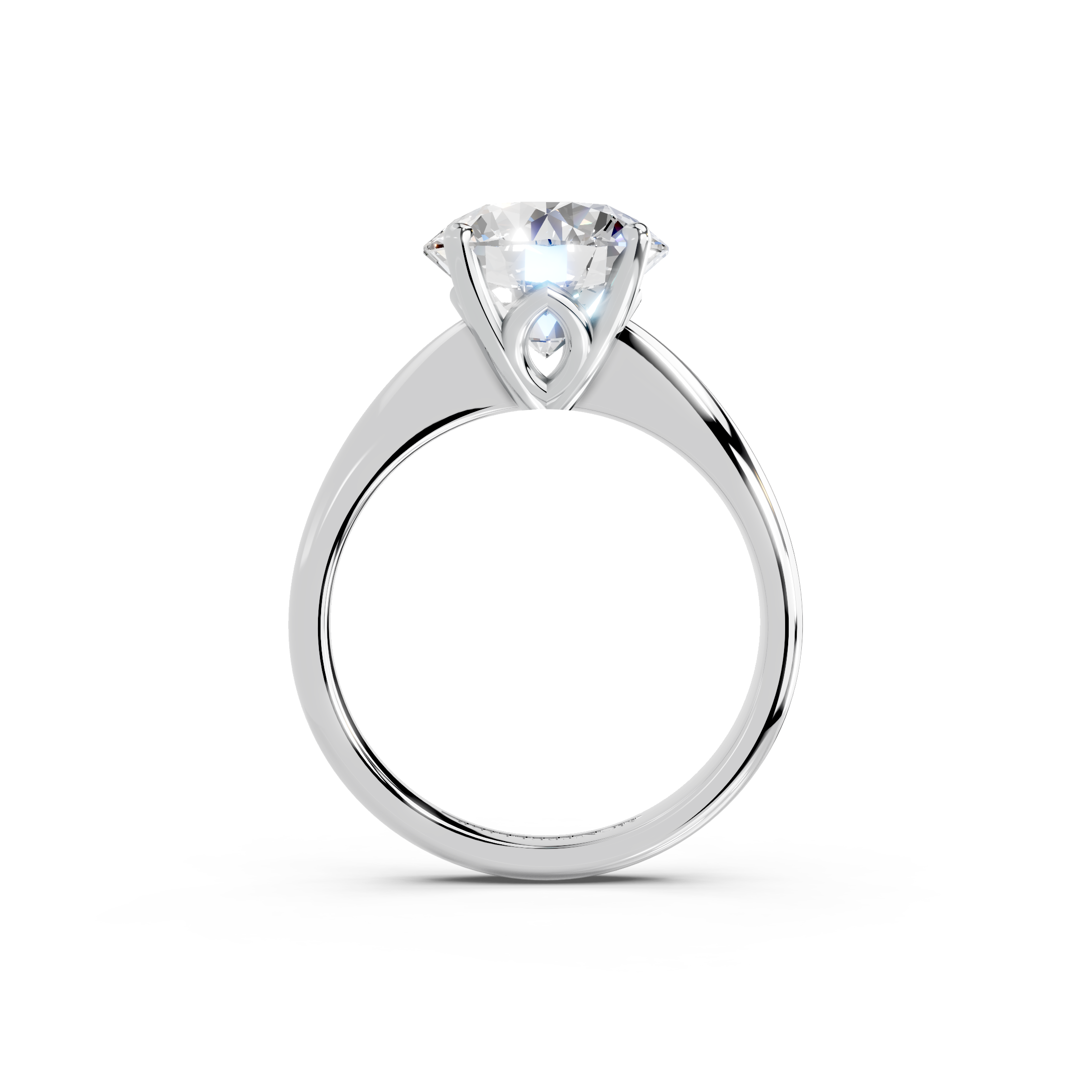 The Montpellier Tulip Solitaire Collection