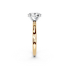 IGI 1.00ct Lab Grown Oval Diamond Solitaire Engagement Ring Platinum or 18ct Gold - The Montpellier Classic Oval