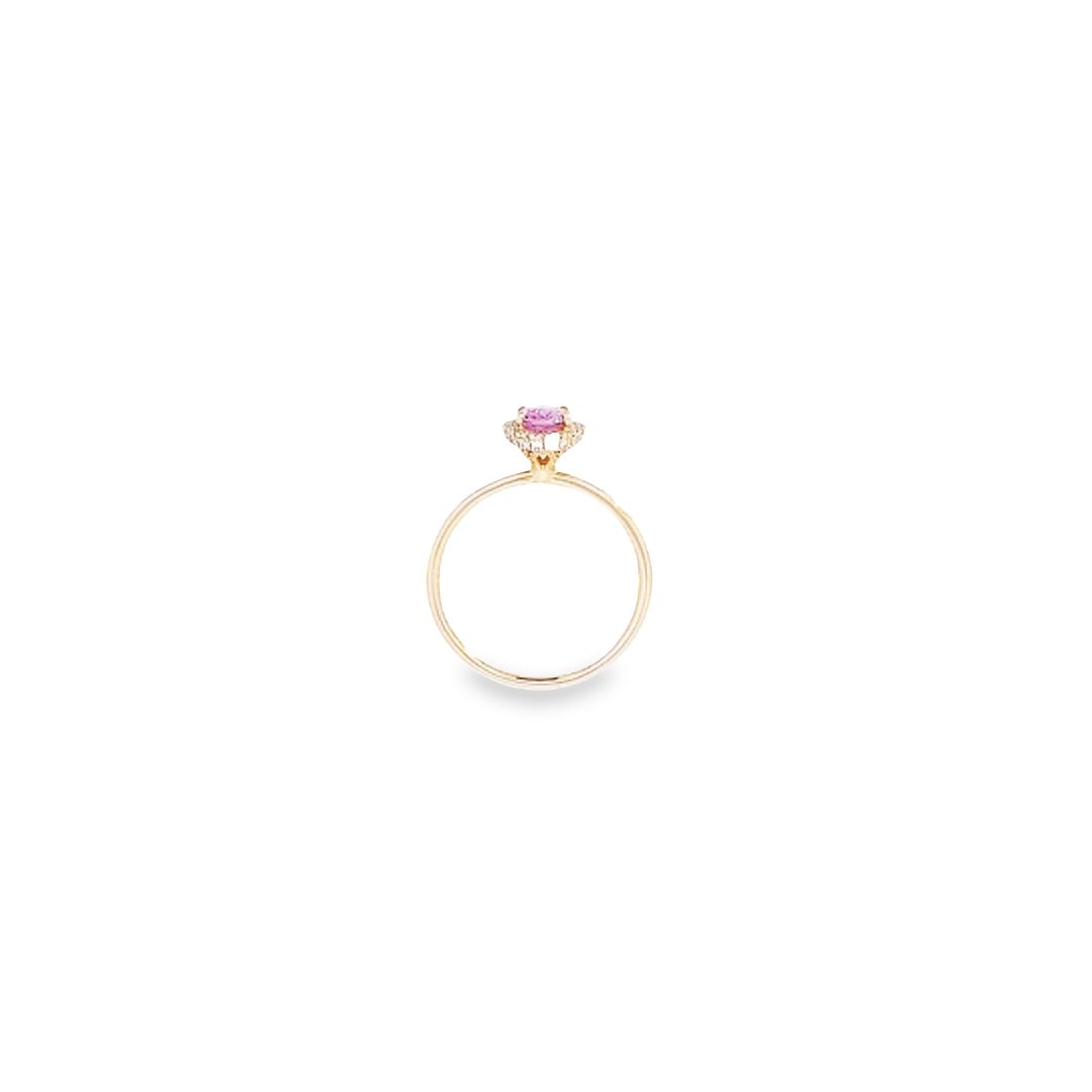 Oval Sapphire & Diamond Halo Ring Set in 18ct Yellow Gold