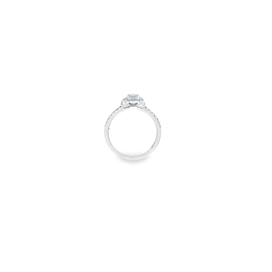 Oval Cut Aquamarine & Diamond Halo Ring Set in Platinum