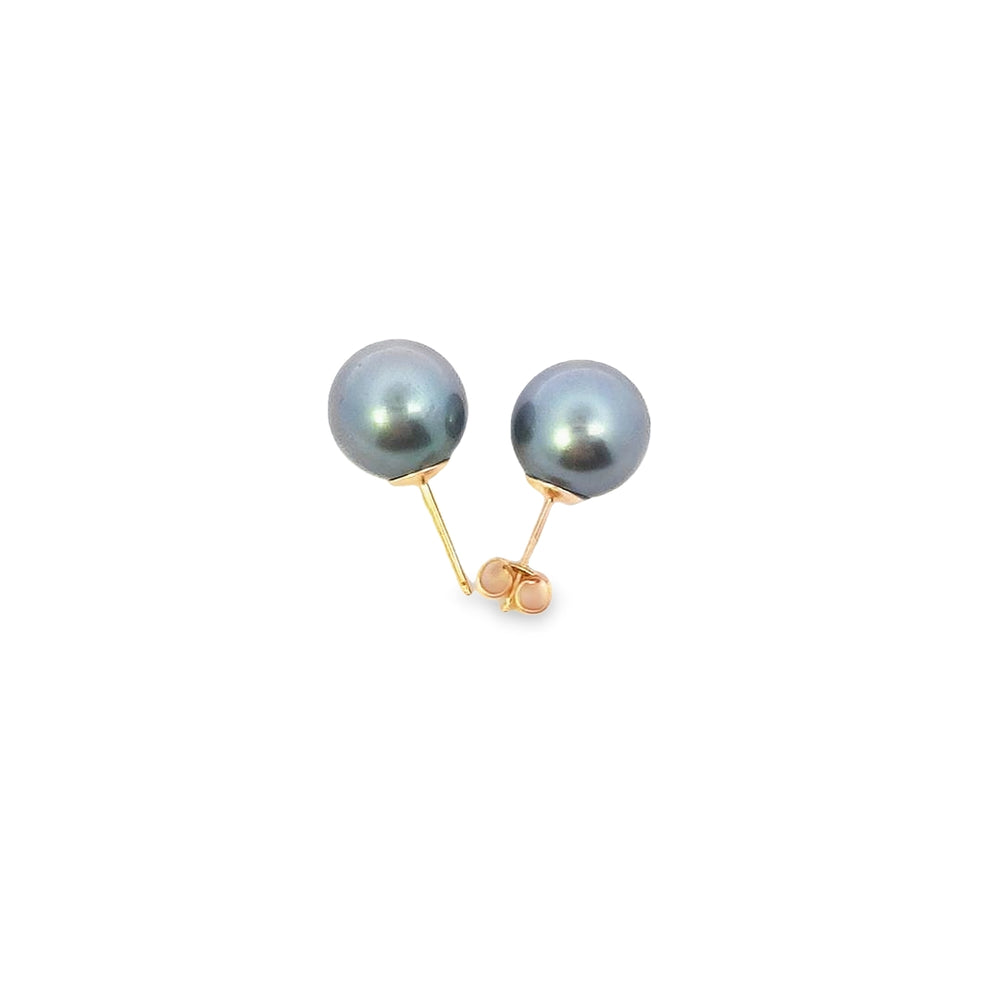 Pearl Stud Earrings Tahitian Pearls 11mm - 11.5mm