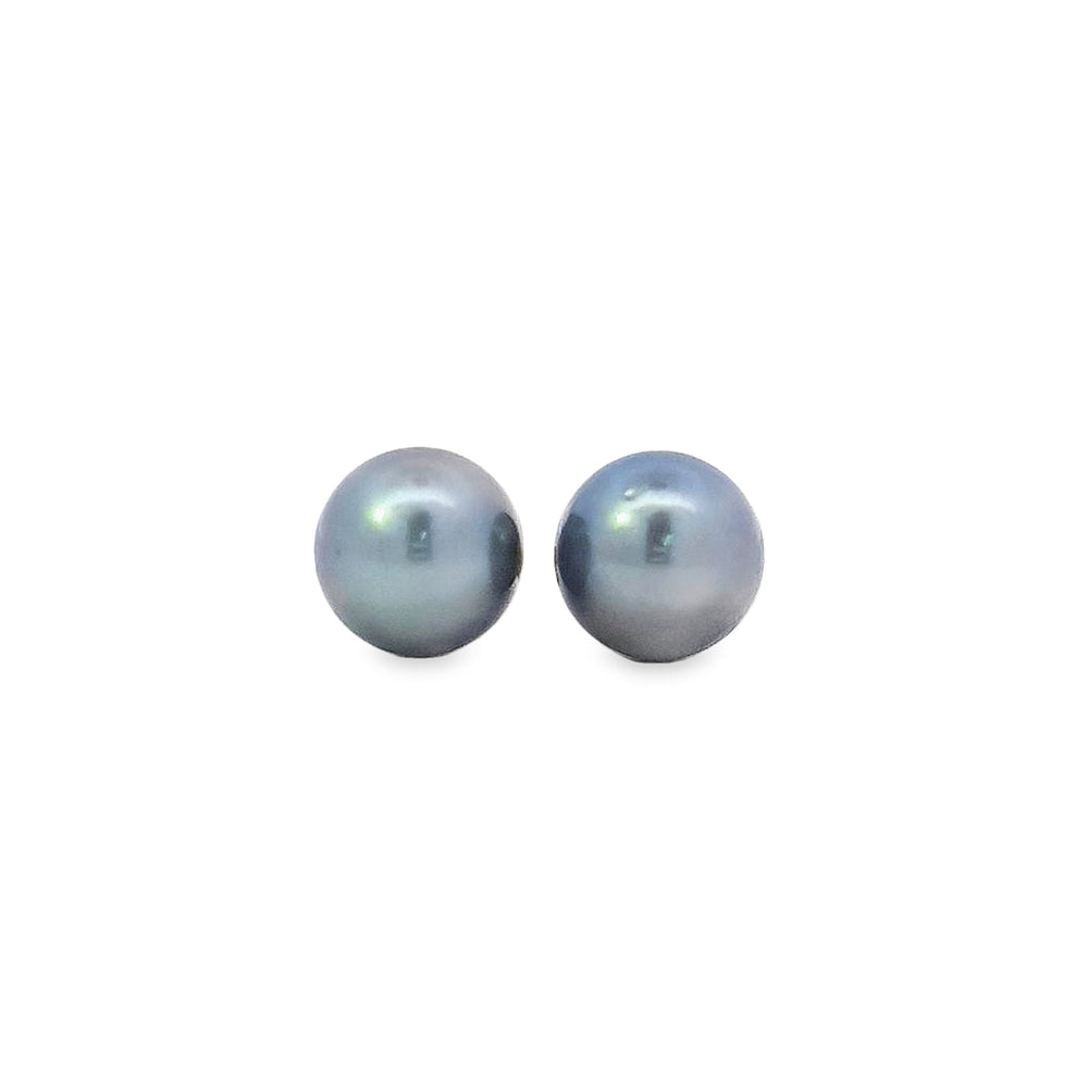 Pearl Stud Earrings Tahitian Pearls 11mm - 11.5mm