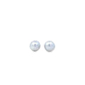 Pearl Stud Earrings South Sea Pearls 10mm - 10.5mm - Montpellier Jewellers