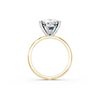 IGI 5.00ct Lab Grown Oval Diamond Solitaire Engagement Ring Platinum or 18ct Gold - The Montpellier Classic Oval