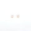 Pearl Stud Earrings AAA Quality Akoya Pearls 5.0mm - 5.5mm