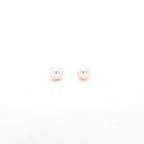 Pearl Stud Earrings AAA Quality Akoya Pearls 5.0mm - 5.5mm