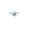 IGI 3.03ct D/VVS2 LAB Diamond Solitaire set in Platinum