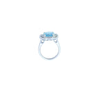3.70ct Aquamarine & Diamond Ring Set in Platinum