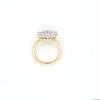 2.89ct LAB Diamond Cluster Ring set in 9ct Gold
