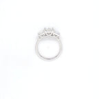 3.75ct E/VS1 Emerald Cut LAB Diamond 3 Stone Ring Set in White Gold