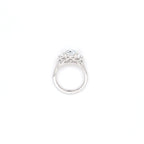 IGI 3.03ct D/VS2 Oval Shape LAB Diamond Ring with Half Moon Side Stones Set in Platinum - Montpellier Jewellers