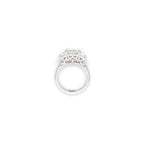 IGI 3.07ct D/VS1 Radiant Cut LAB Diamond Solitaire Ring with Trapezoid Side Stones Set in Platinum - Montpellier Jewellers