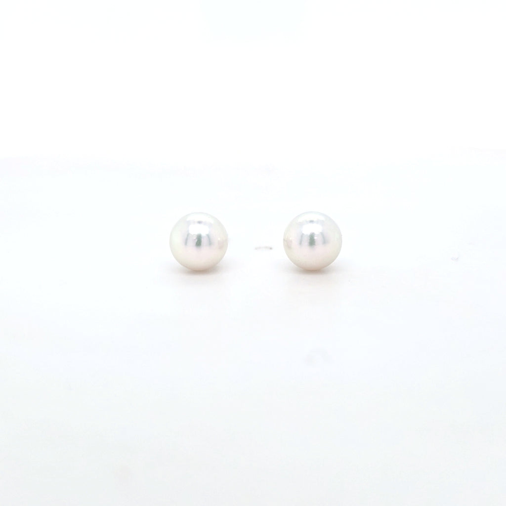 Classic Pearl Stud Earrings AAA Quality Akoya Pearls 5.5mm - 6.0mm - Montpellier Jewellers