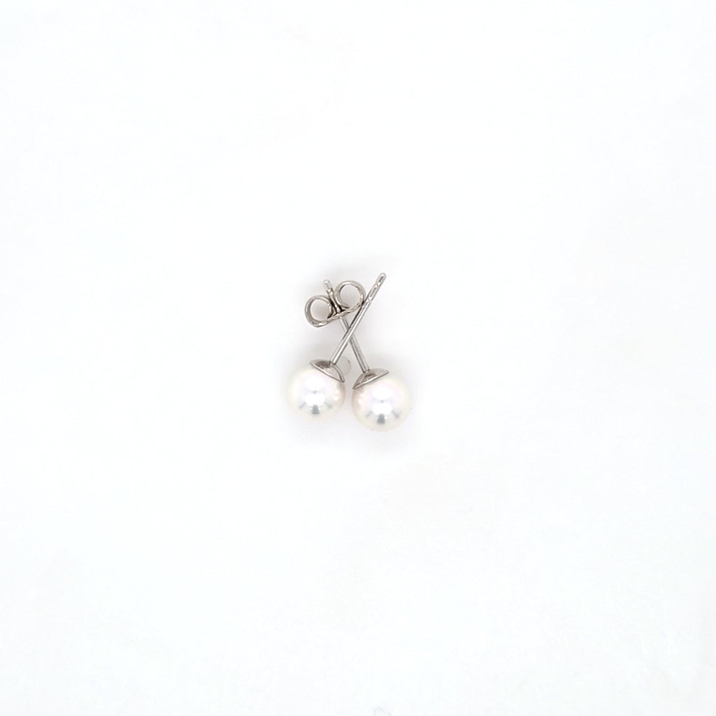 Classic Pearl Stud Earrings AAA Quality Akoya Pearls 5.5mm - 6.0mm - Montpellier Jewellers