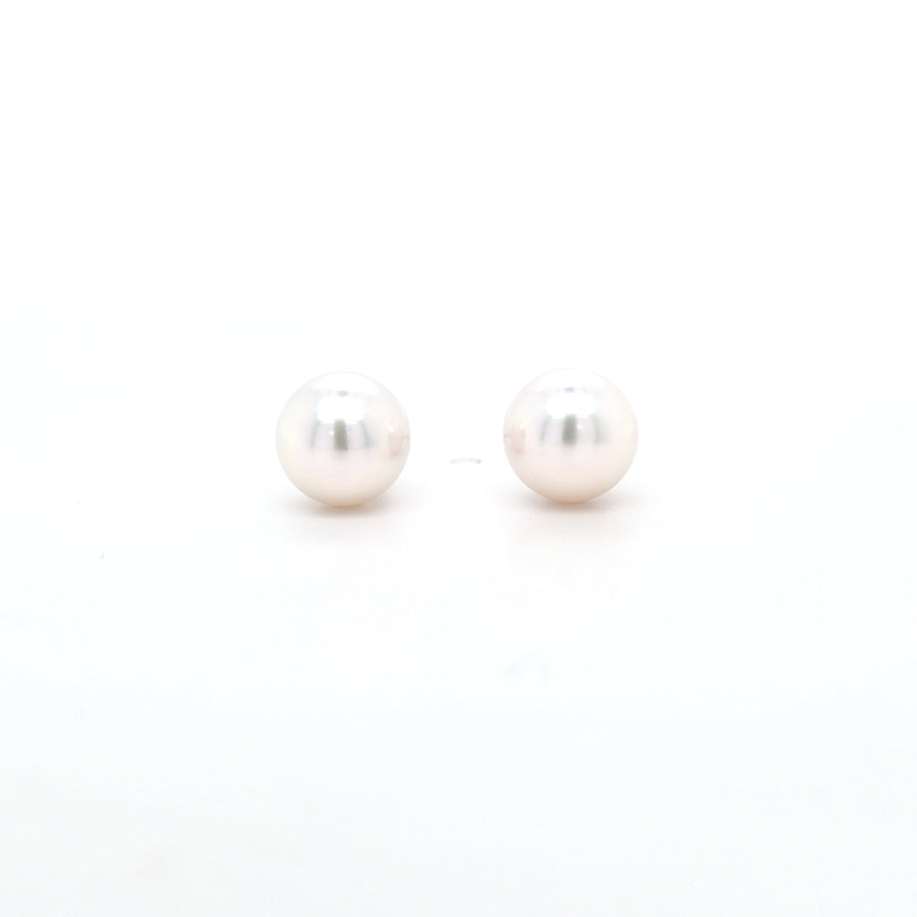 Classic Pearl Stud Earrings AAA Quality Akoya Pearls 7.5mm - 8.0mm - Montpellier Jewellers