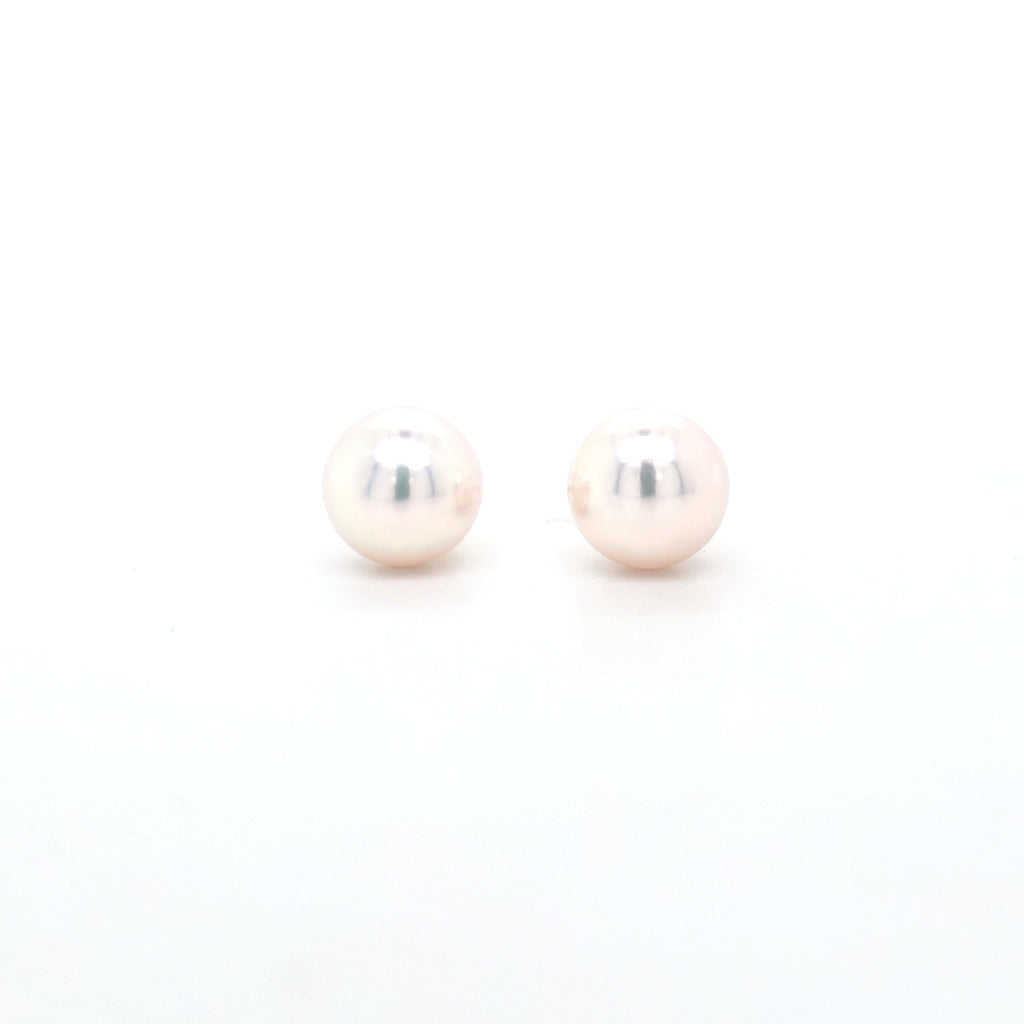 Classic Pearl Stud Earrings AAA Quality Akoya Pearls 8.0mm - 8.5mm - Montpellier Jewellers