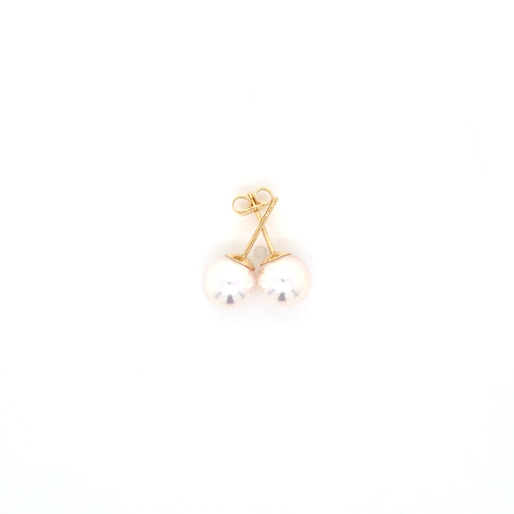 Classic Pearl Stud Earrings AAA Quality Akoya Pearls 8.0mm - 8.5mm - Montpellier Jewellers