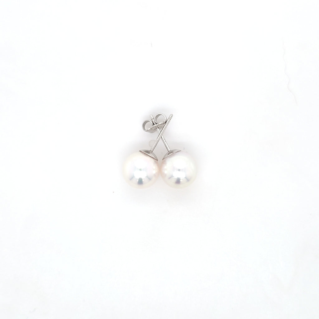 Classic Pearl Stud Earrings AAA Quality Akoya Pearls 8.5mm - 9.0mm - Montpellier Jewellers
