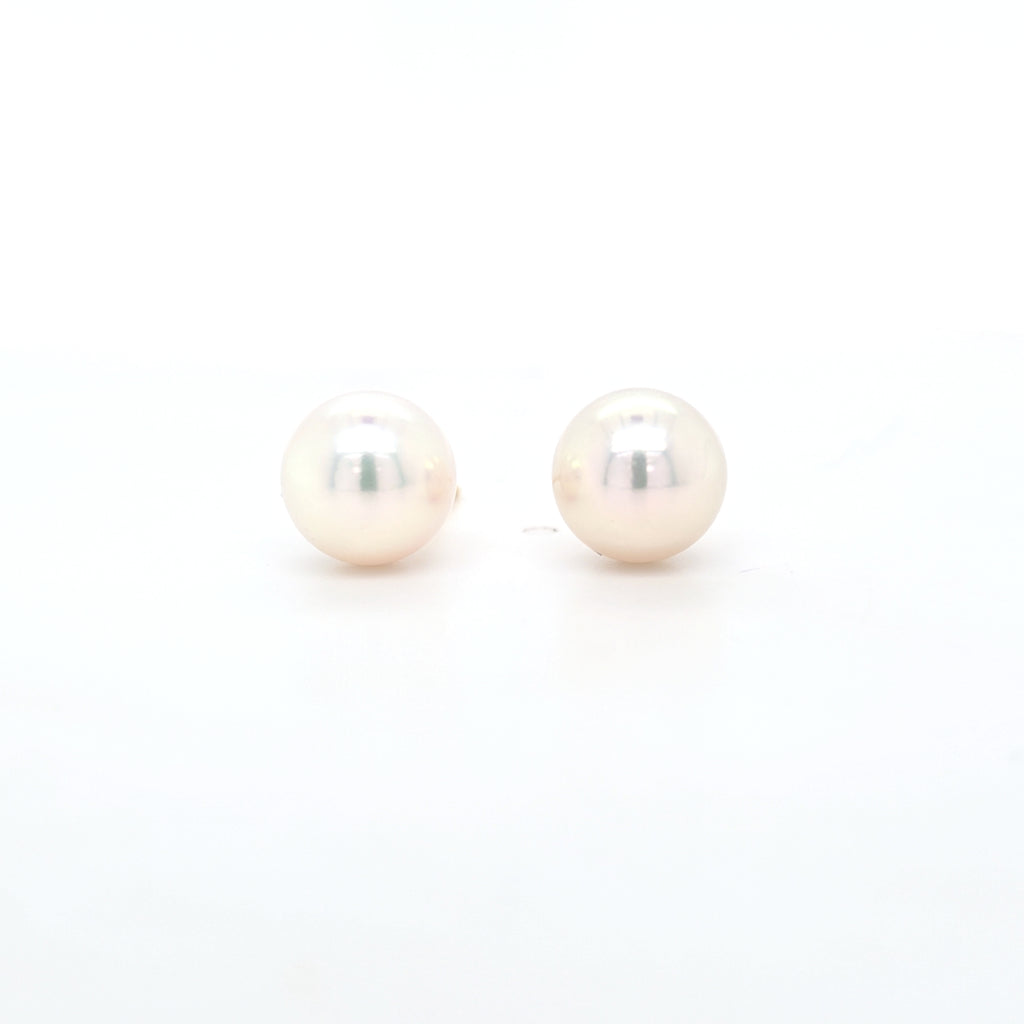 Classic Pearl Stud Earrings AAA Quality Akoya Pearls 9.0mm - 9.5mm - Montpellier Jewellers