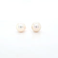Classic Pearl Stud Earrings AAA Quality Akoya Pearls 9.0mm - 9.5mm - Montpellier Jewellers