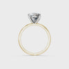 IGI 3.00ct Lab Grown Oval Diamond Solitaire Engagement Ring Platinum or 18ct Gold - The Montpellier Classic Oval