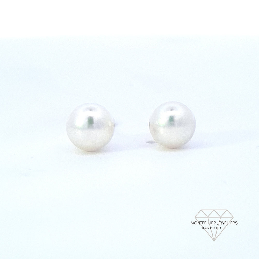 Classic Pearl Stud Earrings AAA Quality Akoya Pearls 5.5mm - 6.0mm