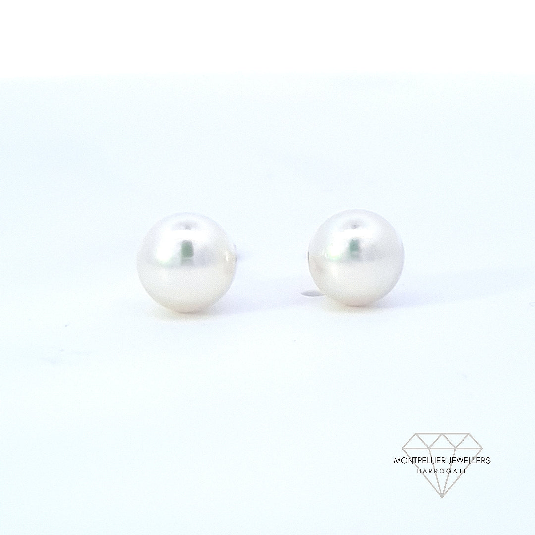 Classic Pearl Stud Earrings AAA Quality Akoya Pearls 5.5mm - 6.0mm