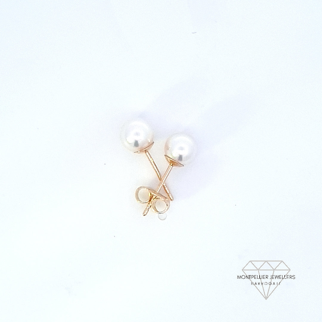 Classic Pearl Stud Earrings AAA Quality Akoya Pearls 5.5mm - 6.0mm