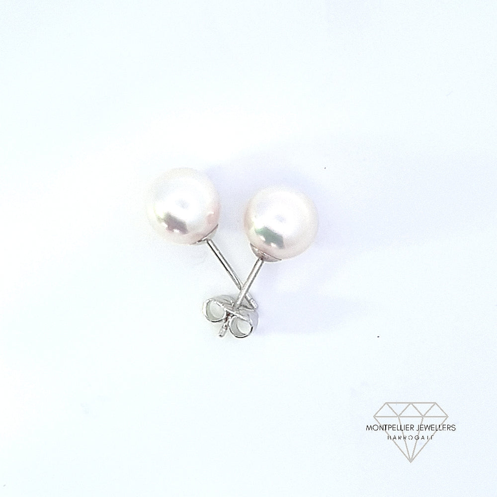 Classic Pearl Stud Earrings AAA Quality Akoya Pearls 8.0mm - 8.5mm